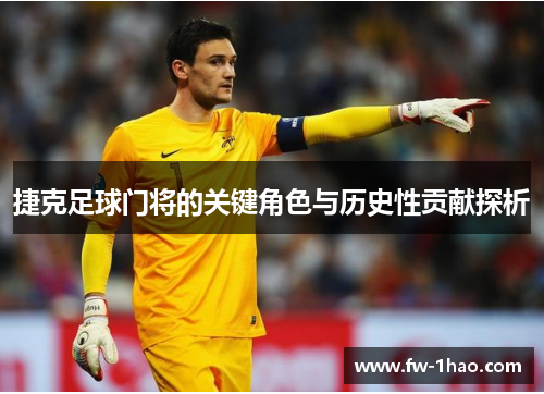 捷克足球门将的关键角色与历史性贡献探析 捷克足球门将的关键角色与历史性贡献探析