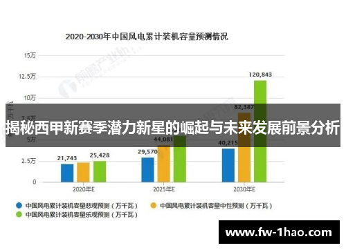 揭秘西甲新赛季潜力新星的崛起与未来发展前景分析