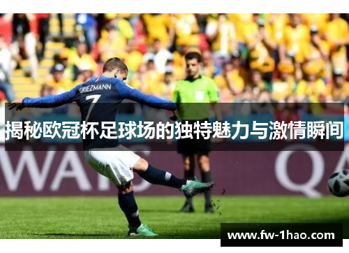 揭秘欧冠杯足球场的独特魅力与激情瞬间 揭秘欧冠杯足球场的独特魅力与激情瞬间