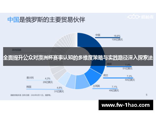 全面提升公众对澳洲杯赛事认知的多维度策略与实践路径深入探索法