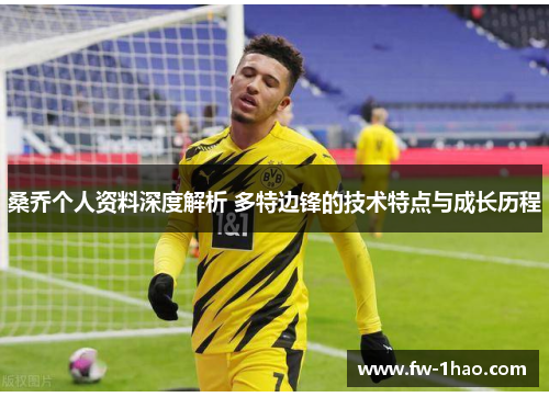 桑乔个人资料深度解析 多特边锋的技术特点与成长历程