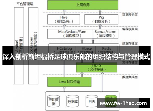 深入剖析斯坦福桥足球俱乐部的组织结构与管理模式