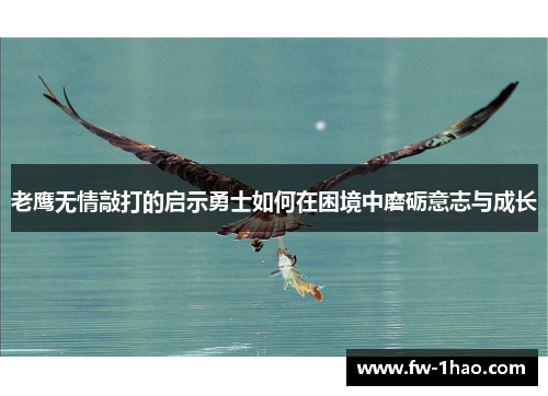 老鹰无情敲打的启示勇士如何在困境中磨砺意志与成长 老鹰无情敲打的启示勇士如何在困境中磨砺意志与成长