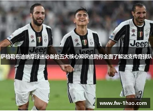 萨格勒布迪纳摩球迷必备的五大核心知识点助你全面了解这支传奇球队
